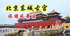 黄色软件女生逼被男生插中国北京-东城古宫旅游风景区